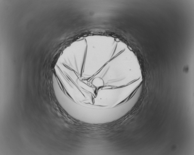 X0000115641445200912221300
