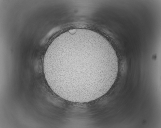 X0000115641446200912221300