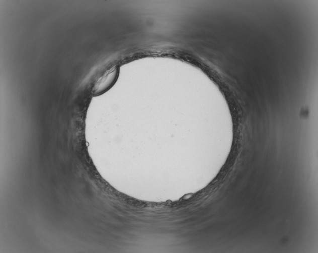 X0000115641447200912221300