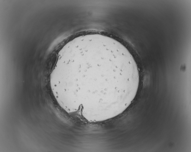 X0000115641448200912221300