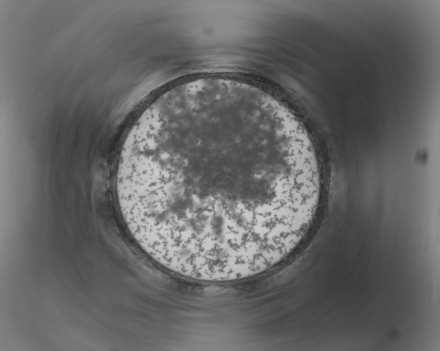 X0000115641449200912221300