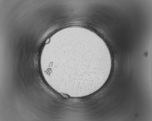 X0000115641450200912221300
