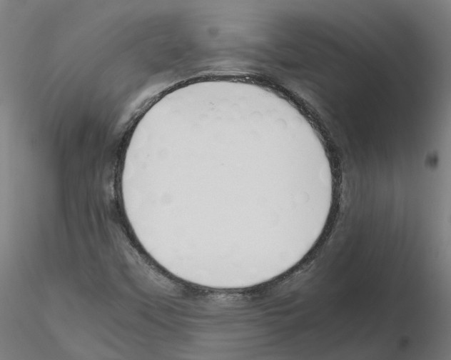 X0000115641451200912221300