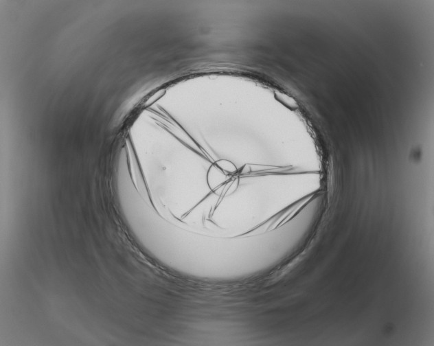 X0000115641453200912221300