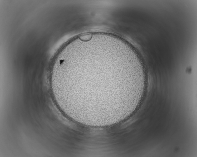 X0000115641454200912221300
