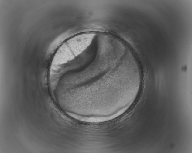 X0000115641455200912221300