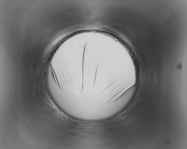 X0000115641456200912221300