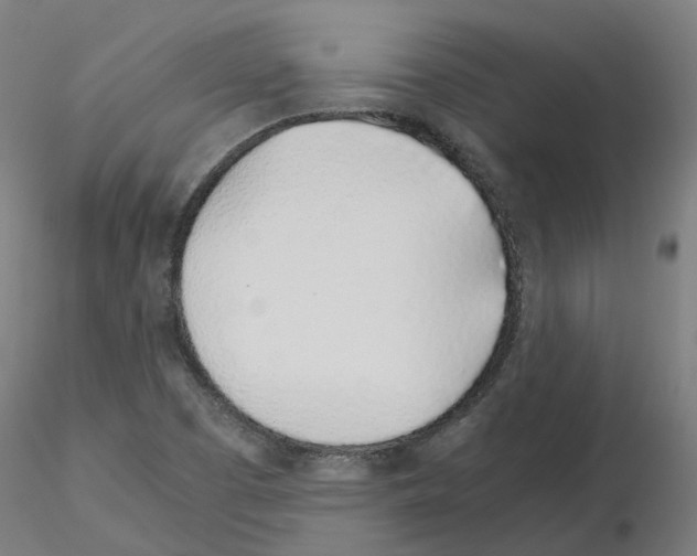 X0000115641457200912221300