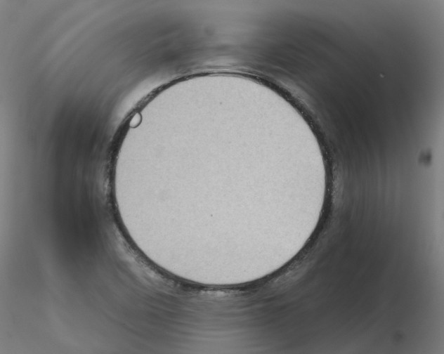 X0000115641458200912221300