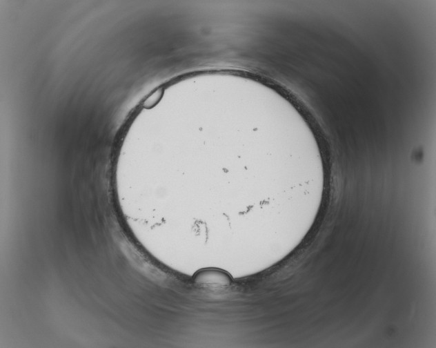 X0000115641460200912221300