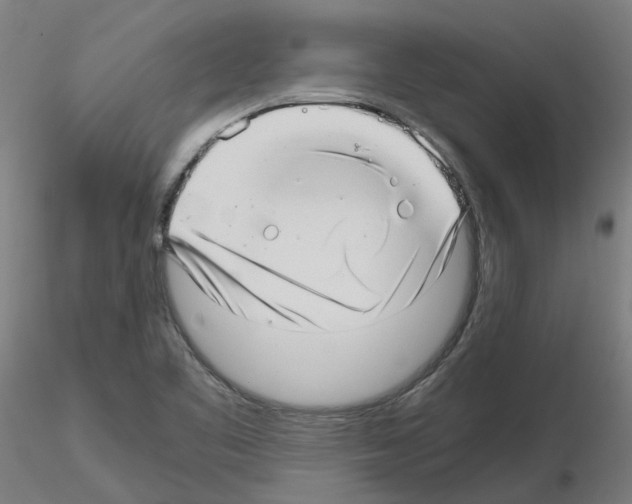 X0000115641461200912221300