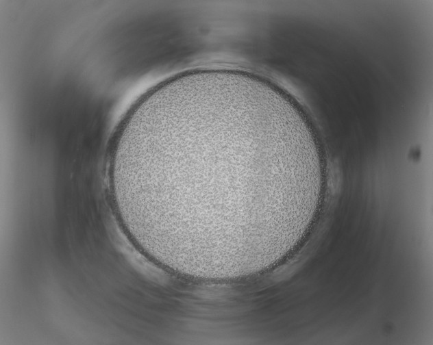 X0000115641462200912221300