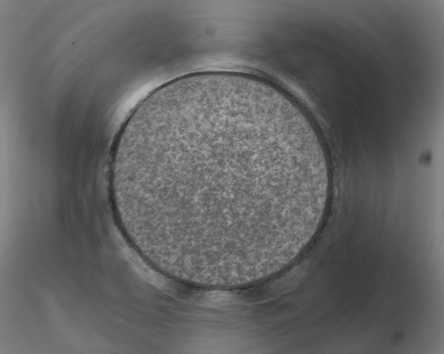 X0000115641463200912221300