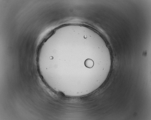 X0000115641464200912221300