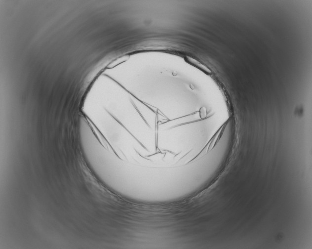 X0000115641465200912221300