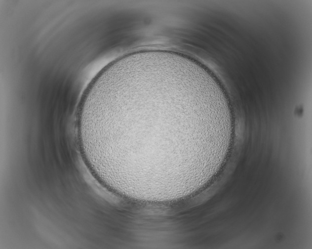 X0000115641466200912221300