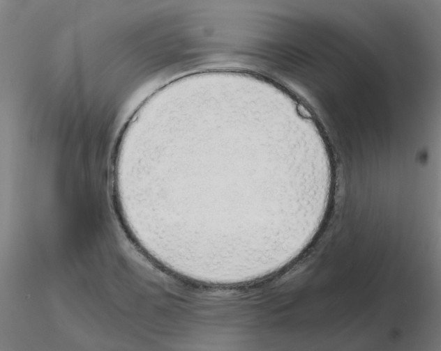 X0000115641467200912221300