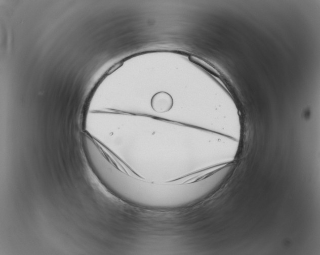 X0000115641468200912221300