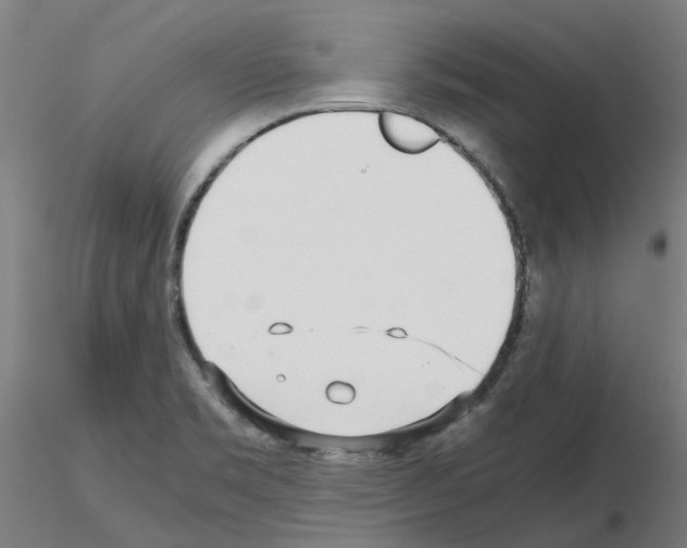 X0000115641469200912221300
