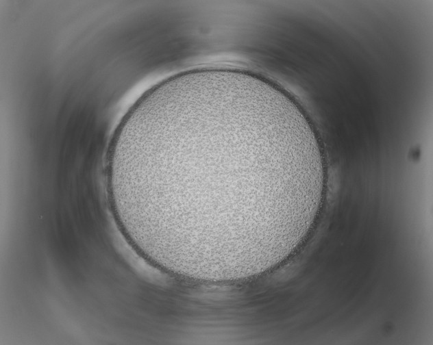 X0000115641470200912221300