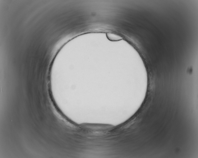 X0000115641471200912221300