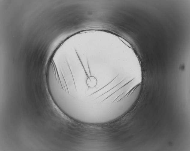 X0000115641472200912221300
