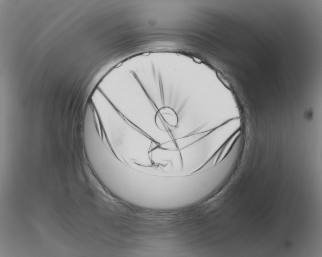 X0000115641473200912221300