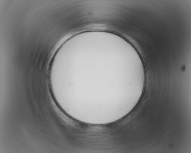 X0000115641475200912221300