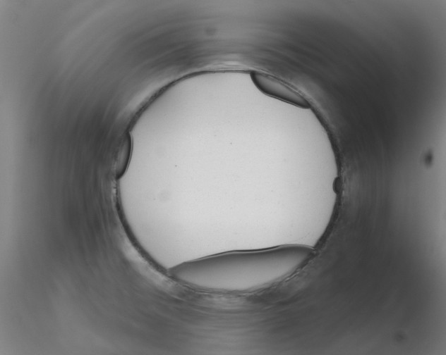 X0000115641476200912221300