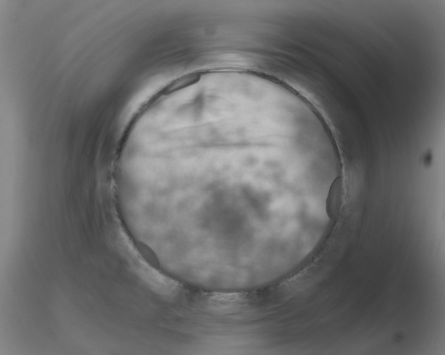 X0000115641477200912221300