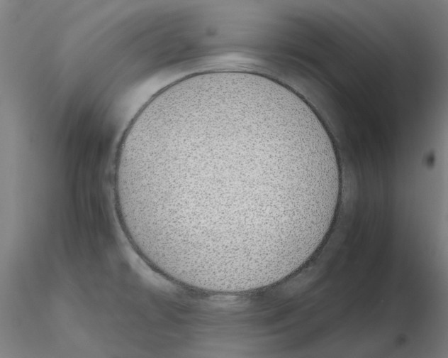 X0000115641478200912221300