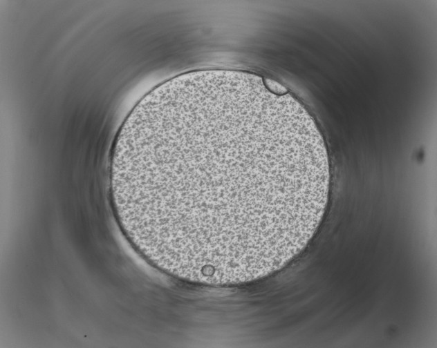 X0000115641479200912221300