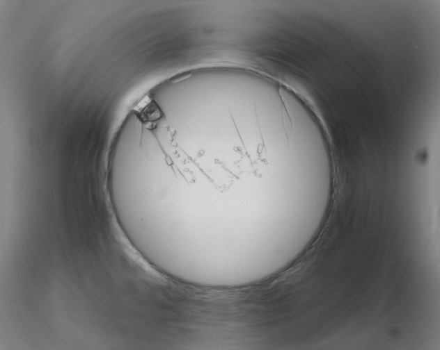 X0000115641480200912221300