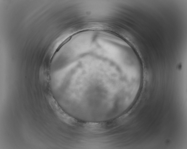 X0000115641481200912221300