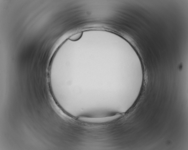 X0000115641482200912221300