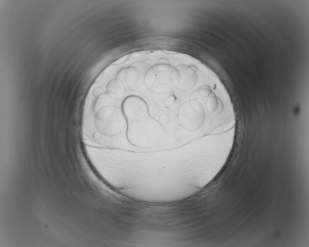 X0000115641483200912221300