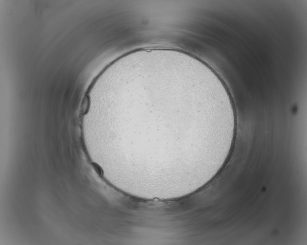 X0000115641485200912221300