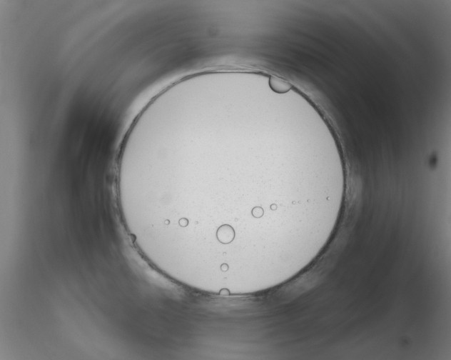 X0000115641486200912221259