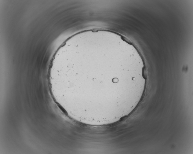 X0000115641488200912221259