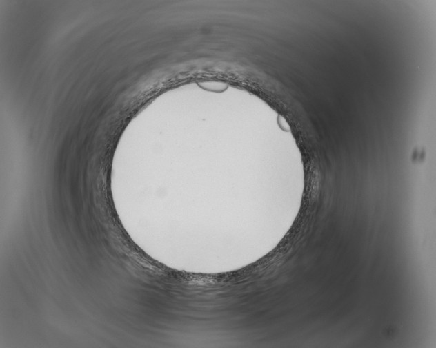 X0000115641489200912221259