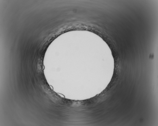 X0000115641490200912221259