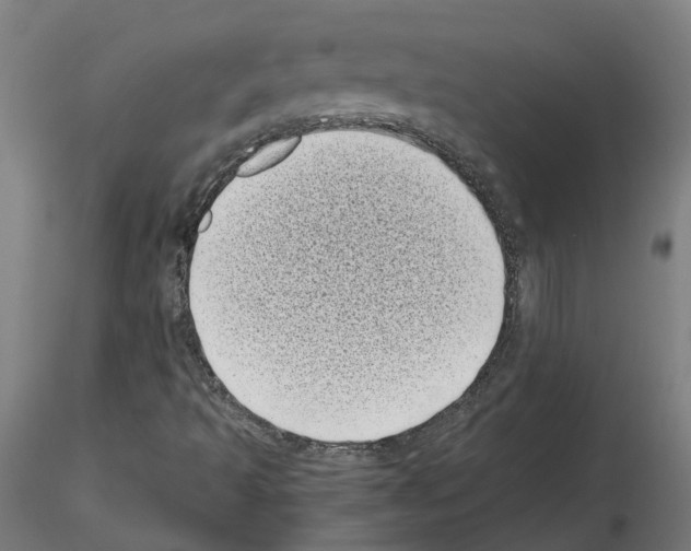 X0000115641493200912221259