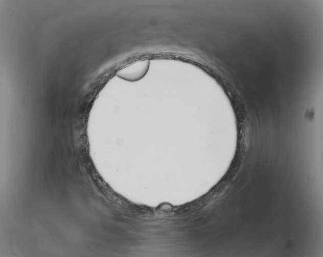 X0000115641494200912221259