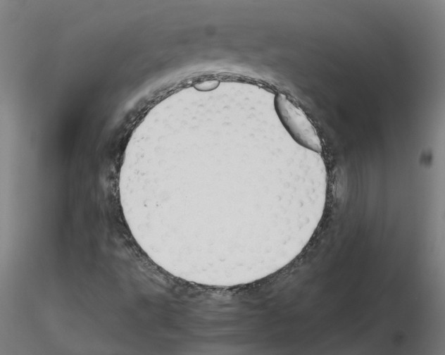 X0000115641495200912221259