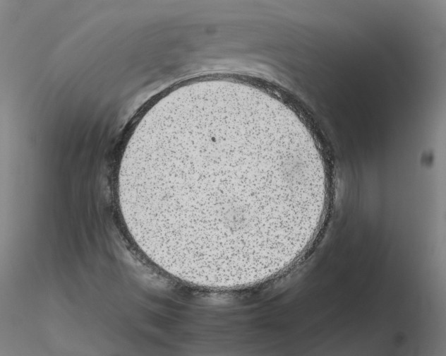 X0000115641497200912221259