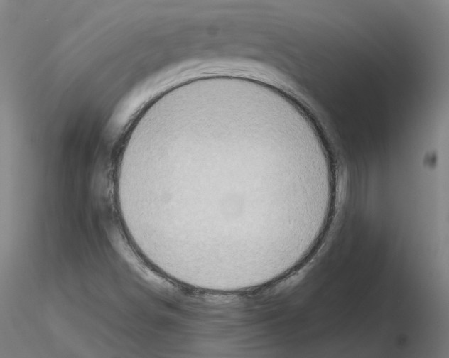 X0000115641498200912221259