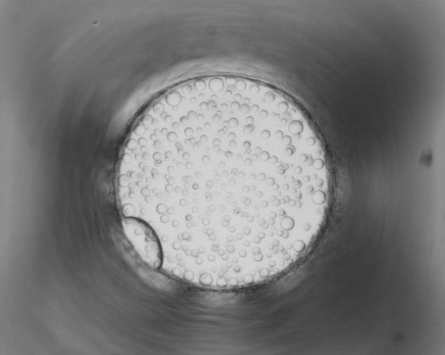 X0000115641499200912221259