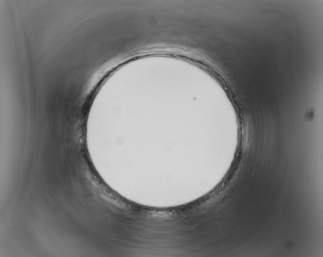 X0000115641501200912221259