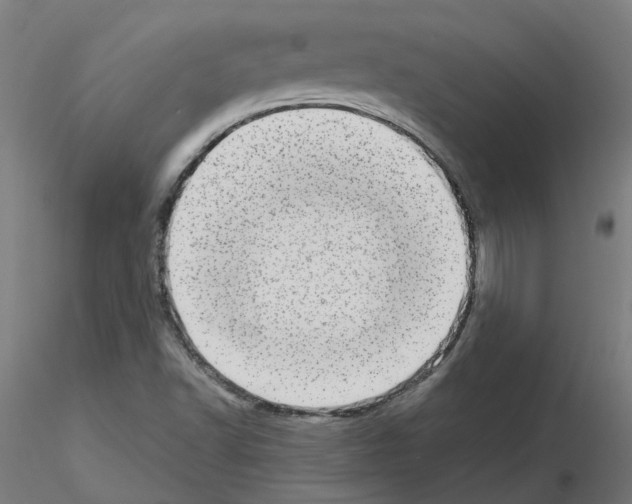 X0000115641502200912221259