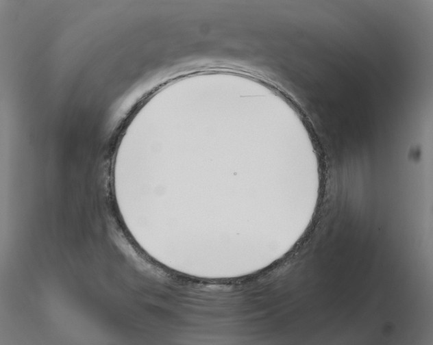 X0000115641503200912221259